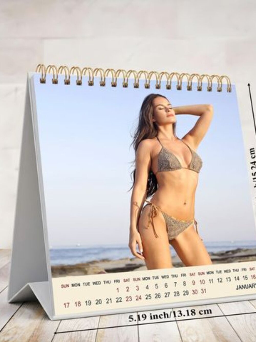 2027-12 Months Desk Calendar Desktop Planner with To-Do List (Babes Bikini)